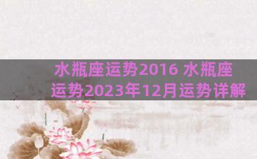 水瓶座运势2016 水瓶座运势2023年12月运势详解